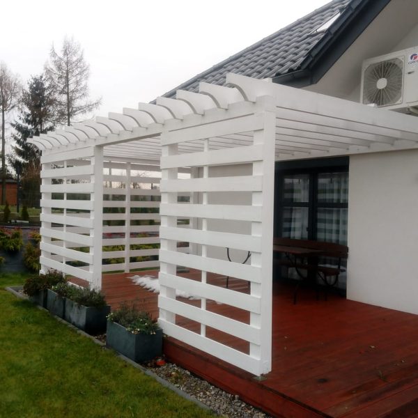 53528456_274609263437841_2612941765107253248_o